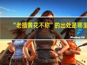 “老插黄花不称”的出处是哪里