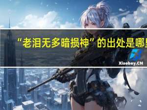 “老泪无多暗损神”的出处是哪里