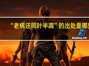 “老病还同叶半凋”的出处是哪里