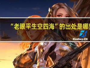 “老眼平生空四海”的出处是哪里