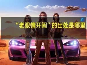 “老眼慵开阖”的出处是哪里