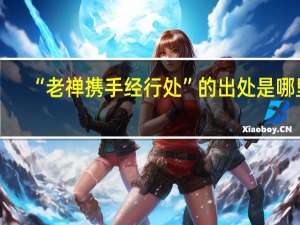 “老禅携手经行处”的出处是哪里