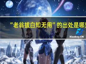 “老翁拔白知无用”的出处是哪里
