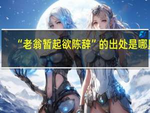 “老翁暂起欲陈辞”的出处是哪里