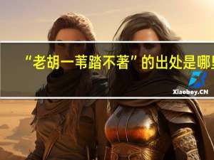 “老胡一苇踏不著”的出处是哪里