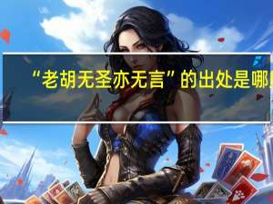 “老胡无圣亦无言”的出处是哪里