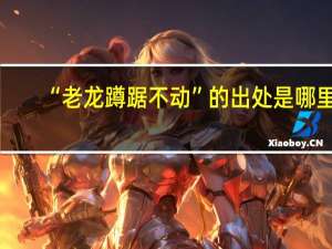 “老龙蹲踞不动”的出处是哪里