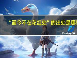 “而今不在花红处”的出处是哪里