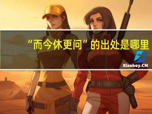 “而今休更问”的出处是哪里