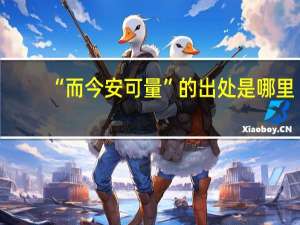“而今安可量”的出处是哪里