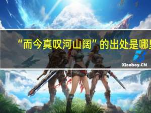 “而今真叹河山阔”的出处是哪里