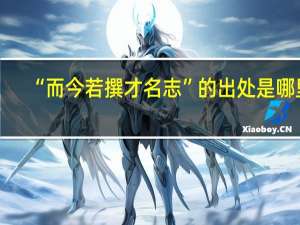 “而今若撰才名志”的出处是哪里