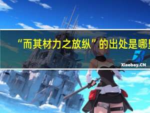 “而其材力之放纵”的出处是哪里