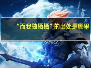 “而我独栖栖”的出处是哪里