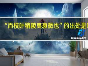 “而枝叶稍陵夷衰微也”的出处是哪里