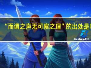 “而谓之声无可察之理”的出处是哪里
