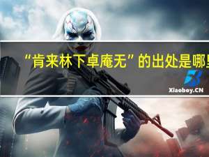 “肯来林下卓庵无”的出处是哪里