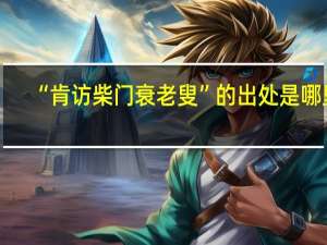 “肯访柴门衰老叟”的出处是哪里