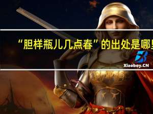“胆样瓶儿几点春”的出处是哪里