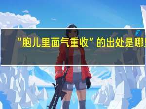 “胞儿里面气重收”的出处是哪里