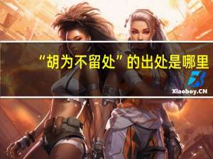 “胡为不留处”的出处是哪里