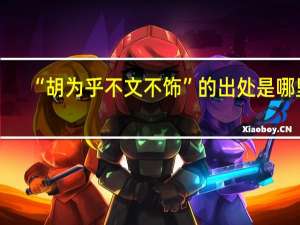 “胡为乎不文不饰”的出处是哪里