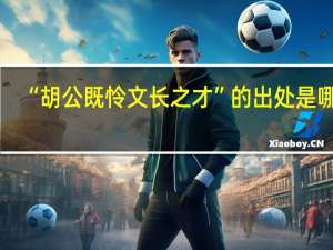 “胡公既怜文长之才”的出处是哪里