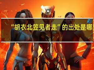 “胡衣北笠见者走”的出处是哪里