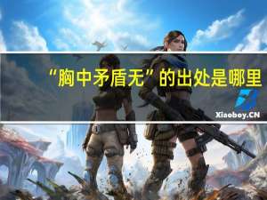 “胸中矛盾无”的出处是哪里