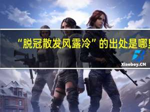 “脱冠散发风露冷”的出处是哪里