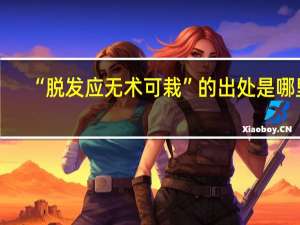 “脱发应无术可栽”的出处是哪里