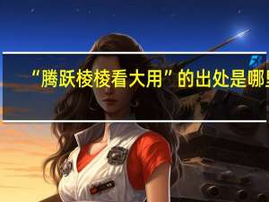 “腾跃棱棱看大用”的出处是哪里