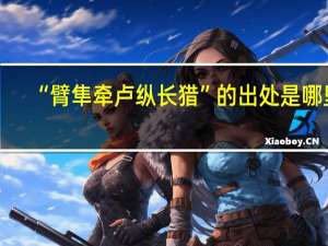 “臂隼牵卢纵长猎”的出处是哪里