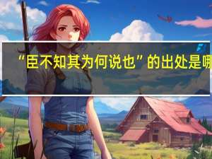 “臣不知其为何说也”的出处是哪里
