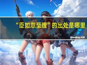 “臣如忽至理”的出处是哪里