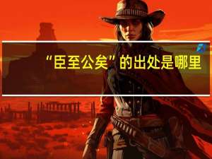 “臣至公矣”的出处是哪里
