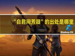 “自君间芳屣”的出处是哪里
