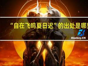 “自在飞鸣夏日迟”的出处是哪里