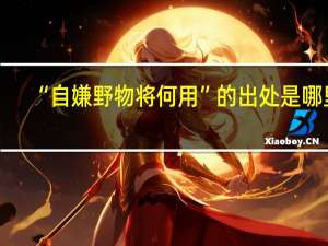“自嫌野物将何用”的出处是哪里