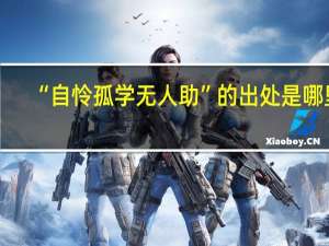 “自怜孤学无人助”的出处是哪里
