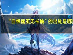 “自恨拙茧无长抽”的出处是哪里
