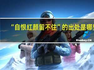 “自恨红颜留不住”的出处是哪里