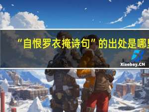 “自恨罗衣掩诗句”的出处是哪里