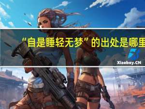 “自是睡轻无梦”的出处是哪里