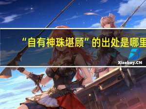 “自有神珠堪顾”的出处是哪里
