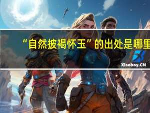 “自然披褐怀玉”的出处是哪里