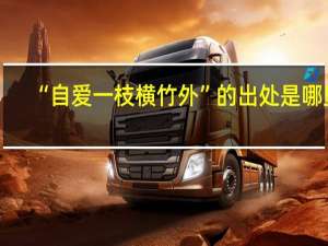 “自爱一枝横竹外”的出处是哪里