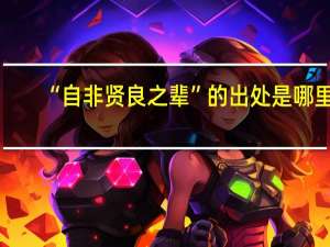 “自非贤良之辈”的出处是哪里