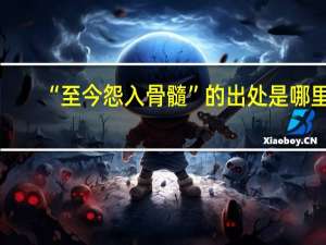 “至今怨入骨髓”的出处是哪里