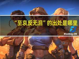 “至哀反无泪”的出处是哪里